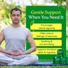 3 Ballerina Natural Green Leaf Brand Naturally Caffeine Free Diet