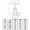3/4" Inch BSP Strong Brass Sluice Gate Valve Water Stop
