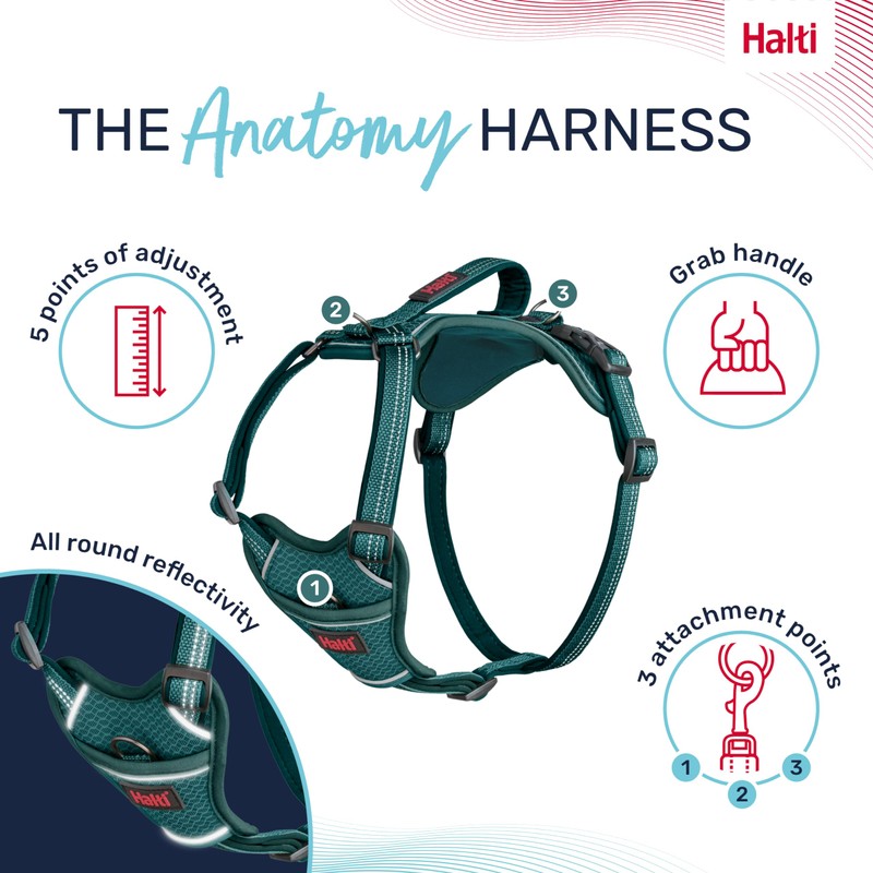 HALTI Anatomy Dog Harness with Handle - Provides Your Dog