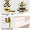 Sogmeter Brushed Gold Bathtub Drain, Hair Catcher and 2-Hole Overflow