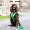 HUGO & HUDSON Dog Harness, No Pull Quick Dry Mesh,