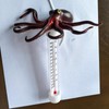 Pool Temperature Thermometers Floating | Waterproof Swimming Pool Thermometers |