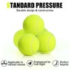 MRYCZ FYRHD 40 Pack Tennis Balls, Advanced Training Tennis Balls,