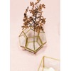 Floral Home Hira Glass Geometric Terrarium in Gold - 4.5"