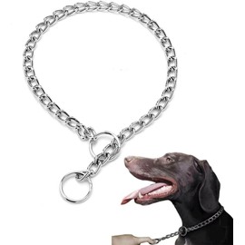 Dog Chain Collars, Metal Choke Link Dog Collar Choker Training Heavy Duty Slip Martingale Puppy Collars for XS Small Medium Large Big XL Breed Dogs (Silver, XL(Neck Max 22inch) D4.0mm)