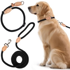 2 STK Freestyle Dressurhalsung Set, Zugstopp Halsband und Hundeleine Set,1 cm Retriever Halsband Hundeleine,Robustem Nylon Trainingshalsband Hund, Lederimitat mit Metallring