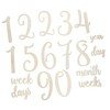 IWOWHERO 19pcs Wooden Milestone Signs Milestone Cards Monthly Cards Newborn