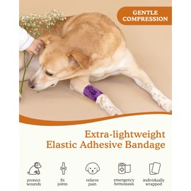 FriPuP Self Adhesive Bandage Wrap - Vet Wrap for Dogs No Chew - Medical Cohesive Bandage Wrap for Wound Care, Paw Care, First Aid, Vet Tape for Pet Cat Horses Birds (2 Inch, 8 Rolls, 8 Colors)