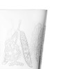 Iittala Taika Sato Tumbler 38cl 12.85oz Clear 2Pc, small