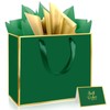 Epoesch 3 Pack Green Medium Gift Bags with Handles and