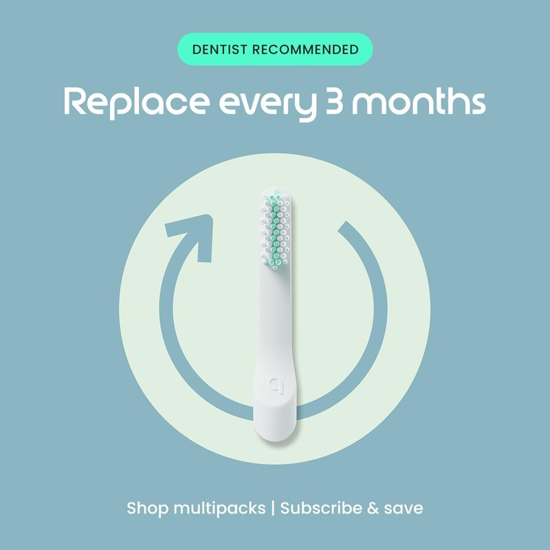 Quip Cepillo de dientes sónico de plástico para adultos Plus