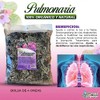 Pulmonaria Hierba Tea 4 oz. 113 gr. Pulmonary Lungwort