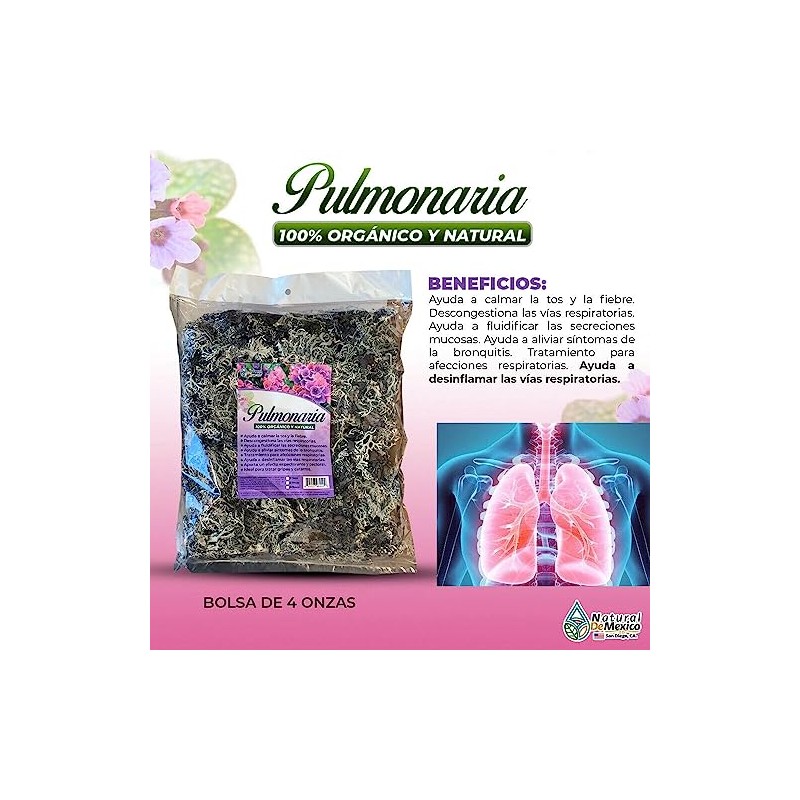 Pulmonaria Hierba Tea 4 oz. 113 gr. Pulmonary Lungwort