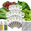 Red Romaine Lettuce Seed Pods for AeroGarden, Ahopegarden, iDOO Hydroponics