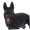 BESPORTBLE Simulation Dog Model Shepherd Dog Figurine Realistic Desktop Decor