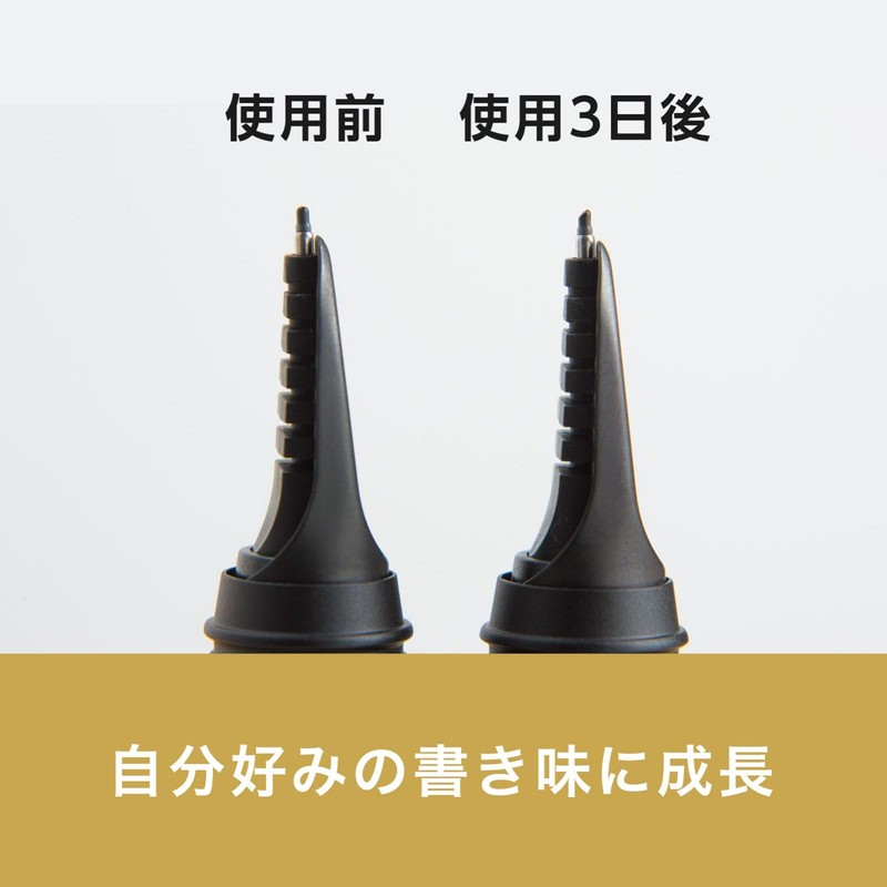 PARKER 21 65358 5th Refill, Black, F, Pack of 2