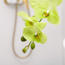 YSZL Artificial Real Touch Phalaenopsis Orchid Flowers Arrangement in Silver Ceramic Pot for Home Decor Centerpieces, Blue