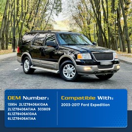 ARANA Liftgate Struts for Ford Expedition 2003-2017, Rear Hatch Lift Support Shocks Fits 2003-2017 Ford Expedition Base/EL/Eddie/King/Limited/Max/Platinum/SSV/XL/XLS/XLT, 2 Pcs