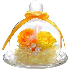 TEATSIGHT Preserved Flower Arrangement, Wrapped, In a Glass Pot, 2 Flowers