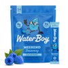 Waterboy Weekend Recovery 3,187mg Electrolyte Powder Packets Ginger L-Theanine Vitamins