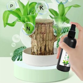 Brazilian Wood Plant, Brazilian Lucky Wood Food & Lucky Bamboo Fertilizer – Liquid Plant Nutrient for Structural & Foliar Growth | Indoor Plants | Promotes Healthy Roots & Stems (100ML)-baximu2PC