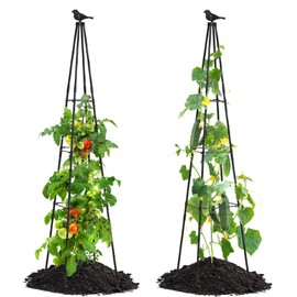 FOLLOOK Cucumber Trellis, 67" Tall Obelisk Garden Trellis for Climbing Plants Outdoor Plastic-Coated Metal Support for Flower Vine Vegetable Tomato Cage Cucumebr Trellis Raised Bed, Black, 2 Pack