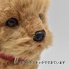 BH6153 HANSA Toy Poodle 22