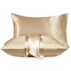 Moonlight Bedding Satin Pillowcases 2 Pack - Champagne Silk Pillowcase