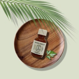 스킨푸드 판토테닉 워터 파슬리 스매싱 파우더 15ml 유통기한 26.1.5 / 스킨푸드 판토테닉 워터 파슬리 스매싱 파우더 15ml 유통기한 26.1.5