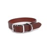 King Buck Leather Dog Collar with D Ring, Leather, Small