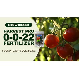 Fertilizer | Harvest Pro 0-0-22 | Custom Professional Blend with Potassium & Magnesium for Fruit, Citrus & Vegetable Plants | Supports Bud Development, Flowering & Fruit Set
