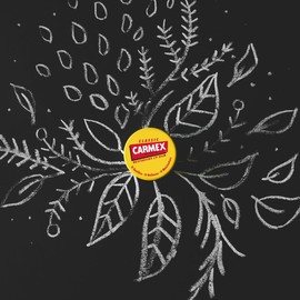 Carmex Classic Lip Balm Jar, Pack of 8 (8 x 7.5 g) - The Original Medical Lip Balm - Moisturising, Protective and Soothing for Dry and Cracked Lips