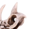 Triceratops de resina con diseño de calavera de imitación de