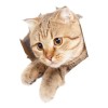 Pegatina De Cubierta De Asiento De Inodoro De Gato 21cmx23cm