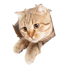 Pegatina De Cubierta De Asiento De Inodoro De Gato 21cmx23cm