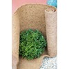 MW.Shop.24 Coconut Mat 100% Organic Winter Protection for Plants Cold