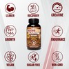 WellBoost WellBoost Creatine Gold C 5000mg Creatine Monohydrate, Vegan, Sugar-Free