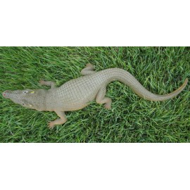 Unbranded Alligator toy replica