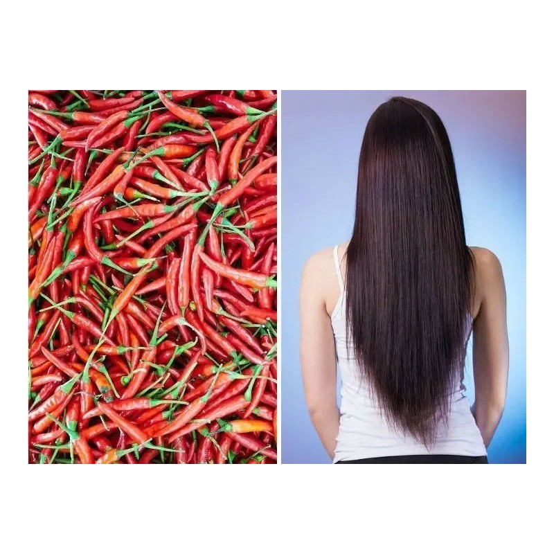 2 Shampoo Chile Y Romero Anti Caída Y Crecimiento Cabello