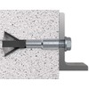 Aerated Concrete Anchor Fishermen FPX M8 I - VPE Pack