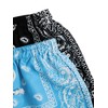 Floerns Boy's 2 Pcs Bandana Shorts Boho Paisley Graphic Print