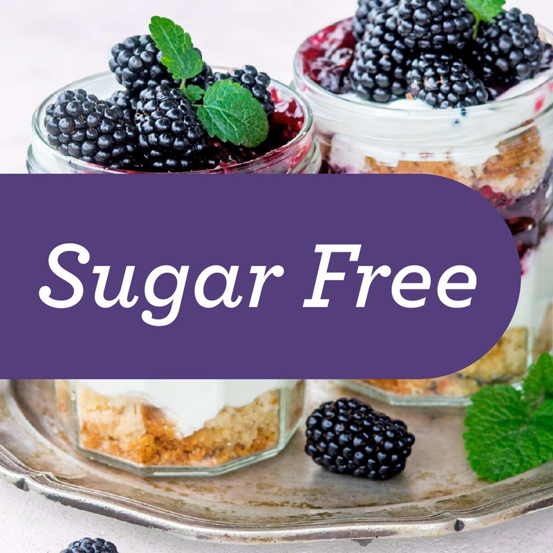 Skinnygirl Sugar Free Kosher Preserves, Blackberry, 10 Ounce (Pack of