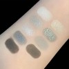 Erinde Black Smokey Gray Silver Eyeshadow Palette, 9 Colors Matte