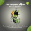 Bebida 3 Jugo Verde Santo 100% Puro 10 Plantas Cardo