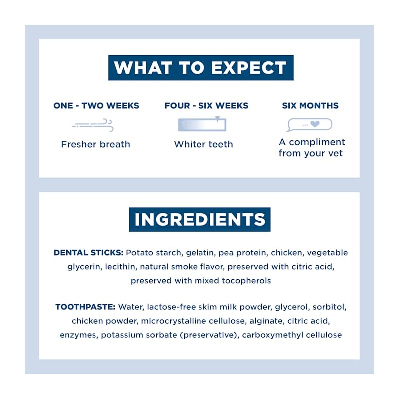 Bark BARK Bright Large Dental Kit for Dogs, 26.29 oz,31