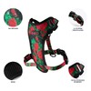 Helltails Anti-Pull Dog Harness for Medium Dogs Padded No Absorb