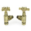 Hot Flow | Bayou Cross-Head Traditional Manual Radiator Valves (Pair)
