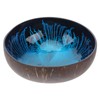 HEMOTON Coconut Bowls Decorative Bowl Natural Coconut Shell Bowl Decorative