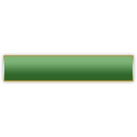 The Pin People Solid Green Citation Bar