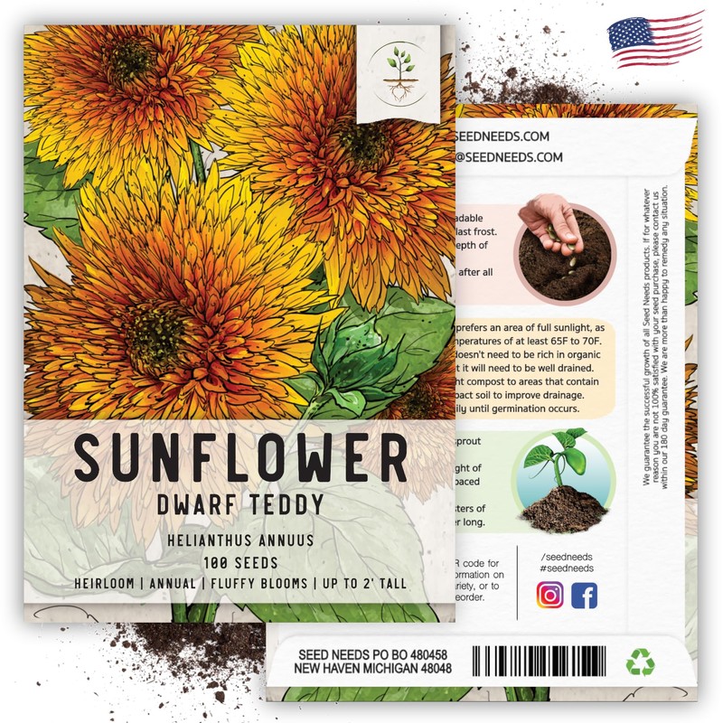 Seed Needs, Dwarf Teddy Sunflower Seeds - 100 Heirloom Seeds